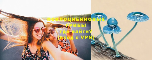 дживик Баксан